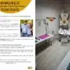 Experiencia de costura Dots (2)