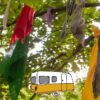 Cartera Koi Doble - Thumbnail Image 5